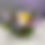 Thumbnail: Sweet success