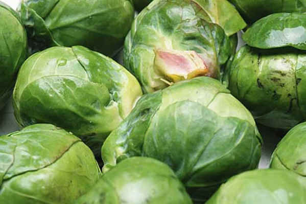 Brussel Sprouts.jpg