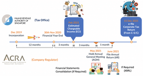 Filing Requirements for Companies in Singapore