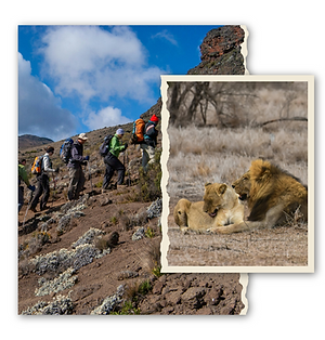 Beige Modern Photo Collage Instagram Post (3).png