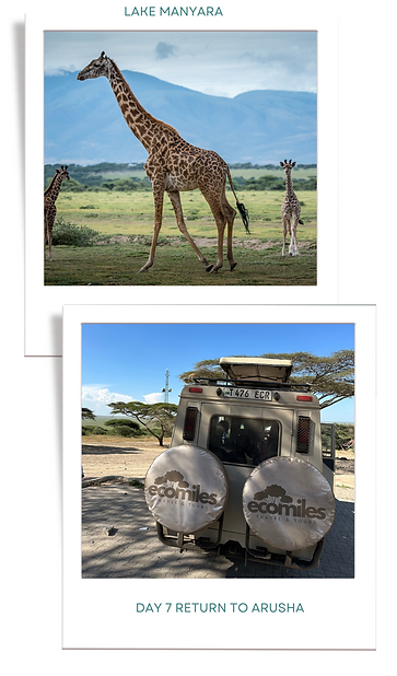 manyara