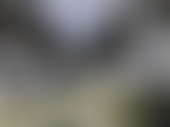 BEAUTIFUL EARTH BLOG SERIES