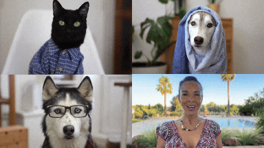QueSpanish Angela And Dogs.gif