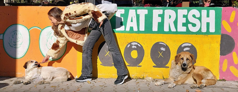 QueSpanish DogBlog Banner.jpg