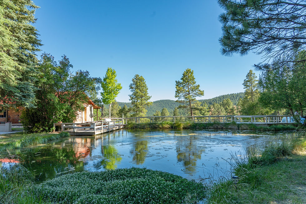 Waterfall Lodge Cloudcroft, New Mexico Wedding Photography