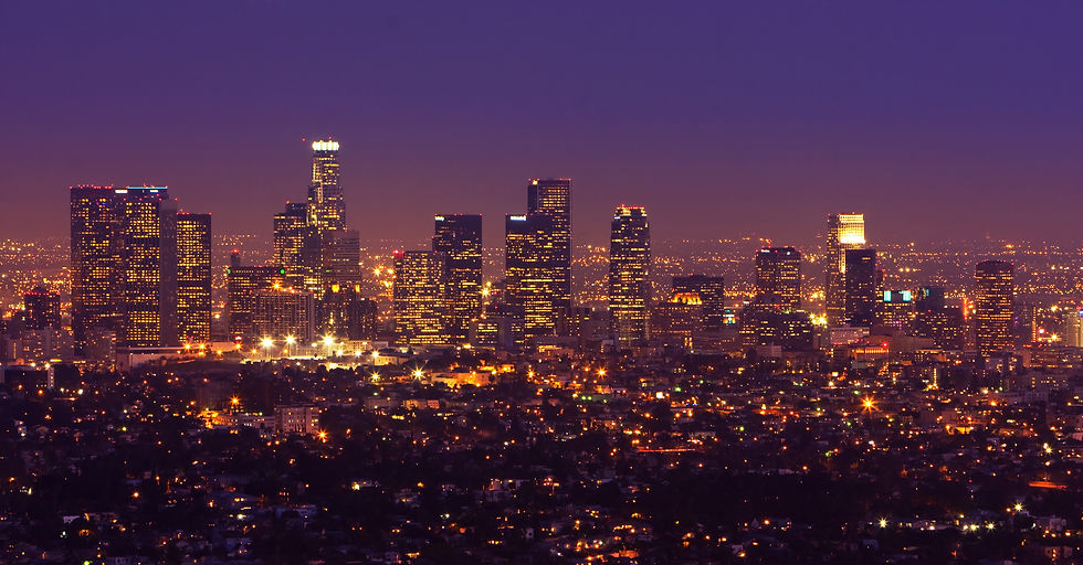 Los Angeles Cityscape