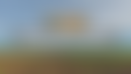 Neonicotinoid-Ban Derogations Limited, But Still Persist in Romania