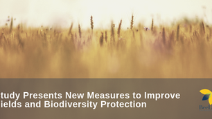 Study Presents New Measures to Improve Yields and Biodiversity Protection