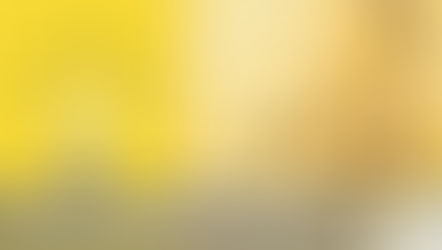 Innovation for the Future of Bees