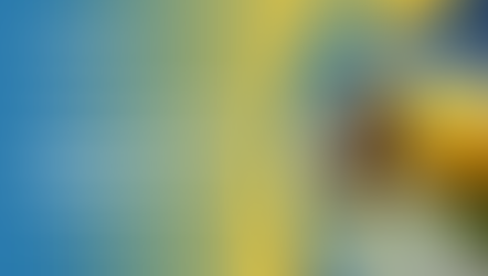 Safeguarding Pollinators: A Policy Call for Responsible Innovation and Biocontrol