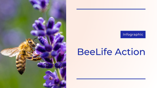 BeeLife Action