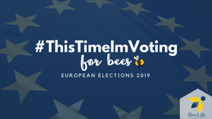 Bees at European Elections 2019