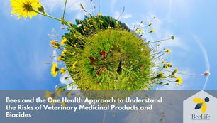 Bees and the One Health Approach to Understand the Risks of Veterinary Products and Biocides