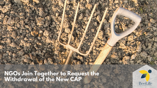 NGOs Join Together to Request the Withdrawal of the New CAP