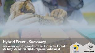 Hybrid Event-Summary: Beekeeping, an agricultural sector under threat
