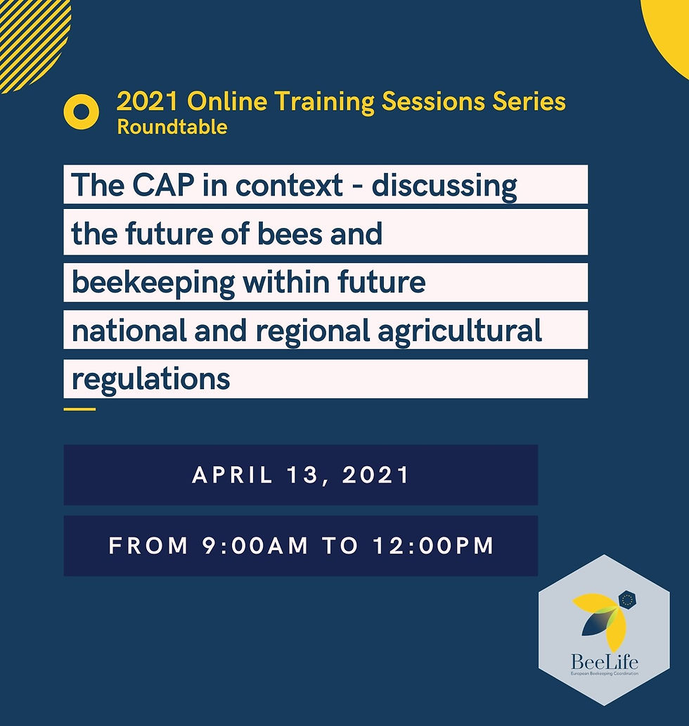 The CAP in context - discussing the future of bees and beekeeping within future national and regional regulations