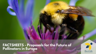 Proposals to Improve the Protection of Pollinators: The Pollinator Index and Eco-Scheme (Factsheets)