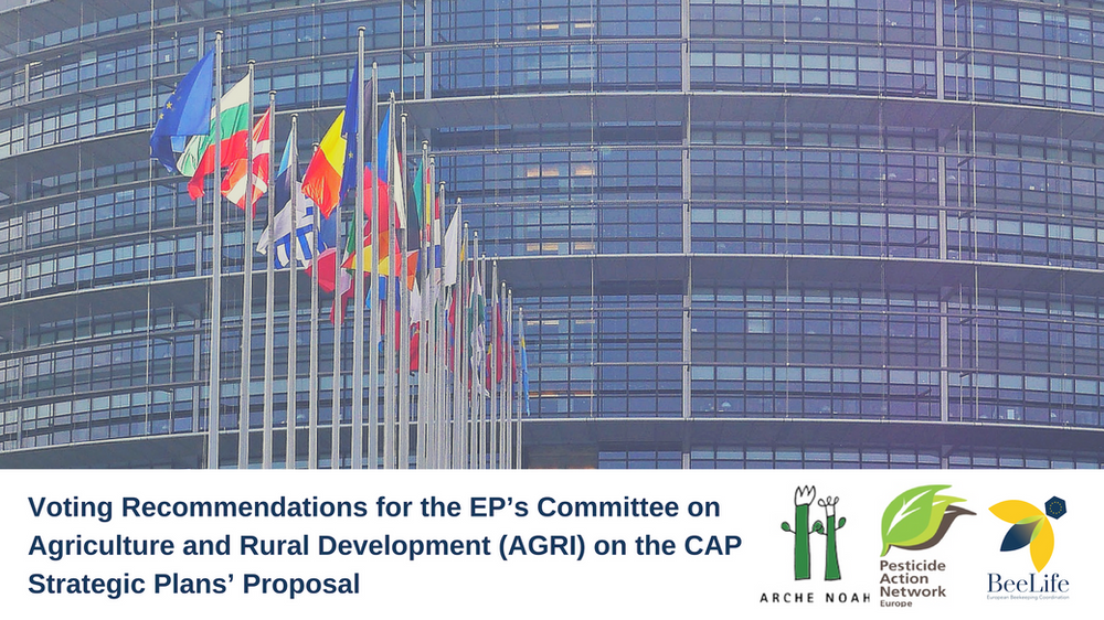 cap committee