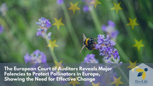 BeeLife comments on the European Court of Auditors' Report on EU failures for Pollinator Protection