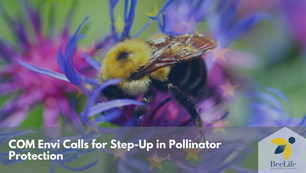 COM Envi Calls for Step-Up in Pollinator Protection