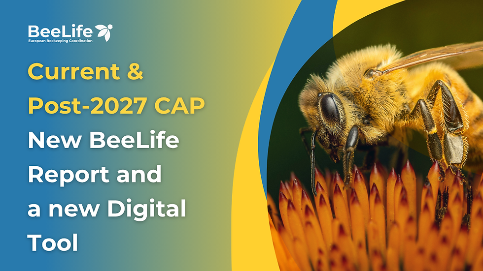 Post-2027 CAP: Turning Complexity into Action for Pollinators and Beekeepers