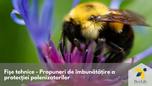 Propuneri de îmbunătățire a protecției polenizatorilor Indexul Polenizator și Eco-schema Polenizator