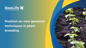 BeeLife’s Position on New Genomic Techniques (NGTs) in Plants