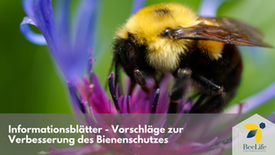 Vorschläge zur Verbesserung des Bienenschutzes: Der Bestäuberindex und die Öko-Regelungen