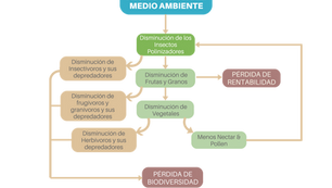 La Degradación del Medio Ambiente y la Crisis de Polinización