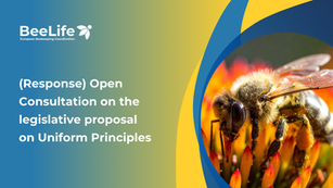 Our response to the Open Consultation on the legislative proposal on Uniform Principles