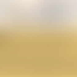Online survey for beekeepers