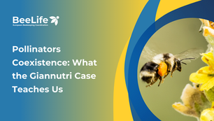 Pollinators Coexistence: What the Giannutri Case Teaches Us