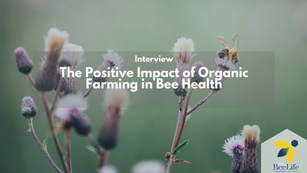 The Positive Impact of Organic Farming in Bee Health