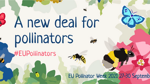 The EU Pollinator Week is Coming Sep 27-30, 2021
