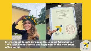 Collaborating with BeeLife as a research intern
