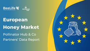 The European Honey Market – A Crises Report
