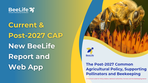 Post-2027 CAP: Turning Complexity into Action for Pollinators and Beekeepers