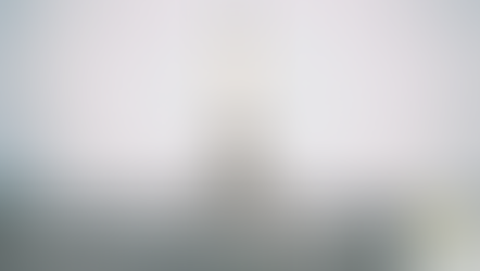 France Travels Back in Time by Limiting the Protection of Pollinators and Biodiversity