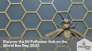 Discover the EU Pollinator Platform on the World Bee Day 2023