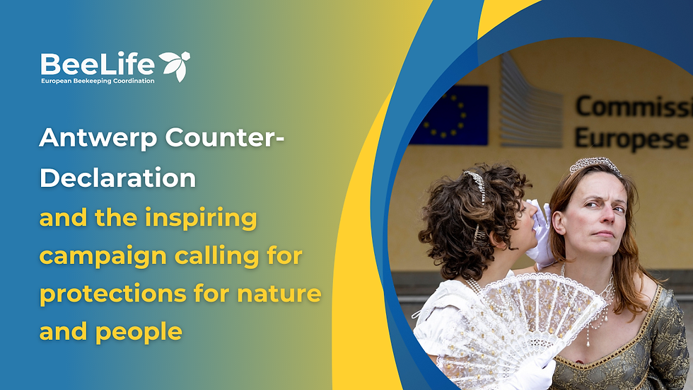 Antwerp Counter-Declaration: 270+ organisations call for democracy, transparency and stronger protections