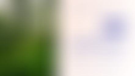 Proposals for an Efficient Integrated Pest Management Eco-Scheme in the Next CAP