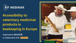B-THENET Webinar on VMP accessibility in Beekeeping