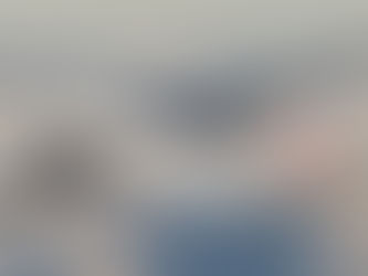 JAPAN AIRLINES REDUCES OPERATIONS!