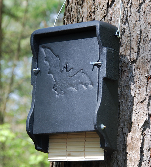 1ff-bat-box-pic01.jpg