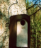 3s-starling-box-pic01.jpg