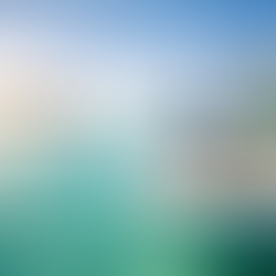 people fishing on a boat in Desin Fort Walton Beach Florida