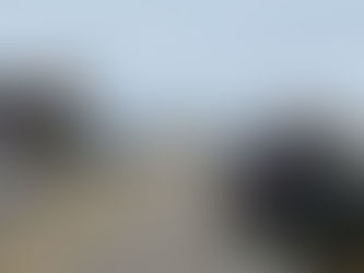 Black Friday brings out 1,000's 