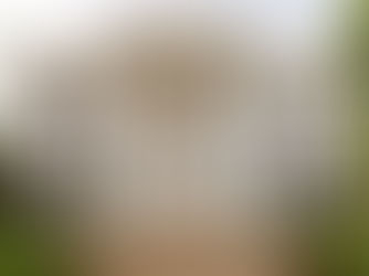 Republican Enters Race for Mississippi Governor