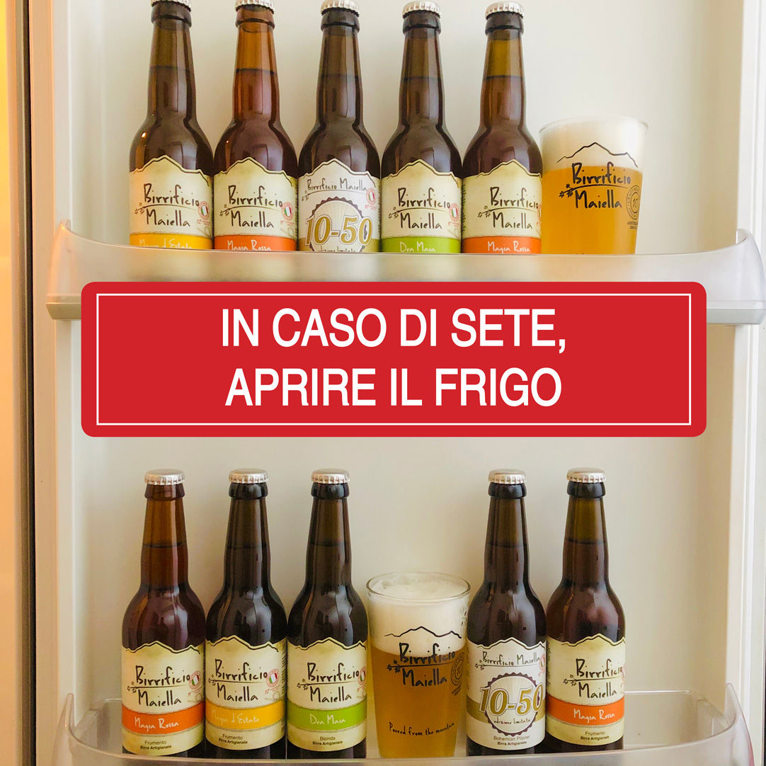 PREMIUM FRIGO PACK - 10 x 33cl + 2 Bicchieri
