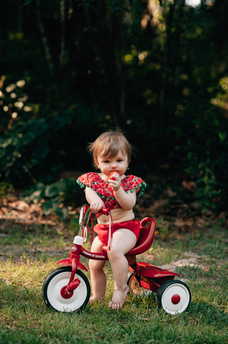 family photographers near me